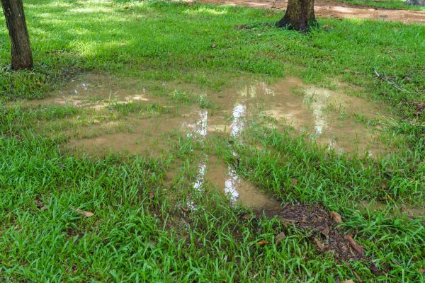 Cost of Storm Water Drainage Service in Bella Vista