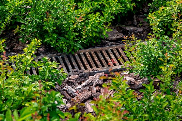 Cost of Underground Drainage Service in Bella Vista