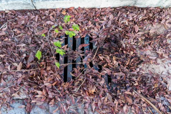 Cost of Yard Drain Unclogging in Bella Vista