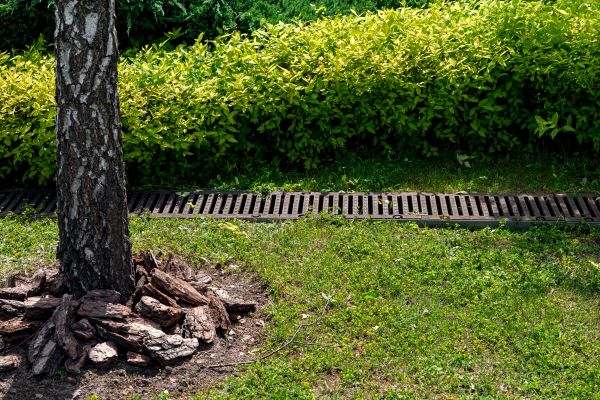 Cost of Wet Yard Drainage in Bella Vista