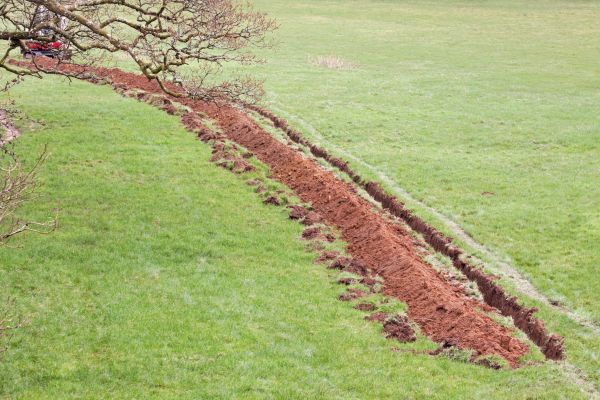 Cost of Swale Installation in Bella Vista