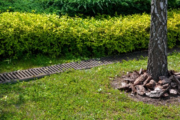 Cost of Residential Landscape Drainage in Bella Vista