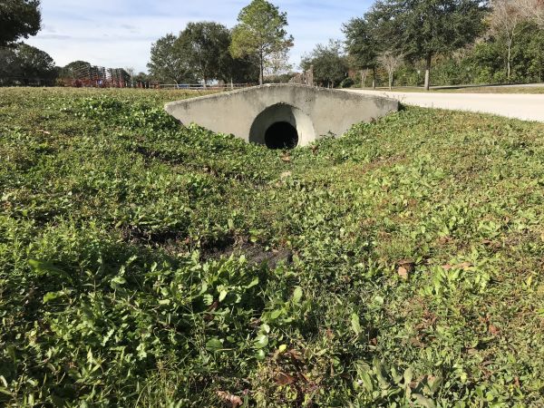 Cost of Swale Drainage Service in Bella Vista