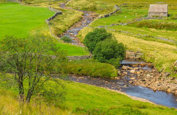 Cost of Swale Repair in Bella Vista